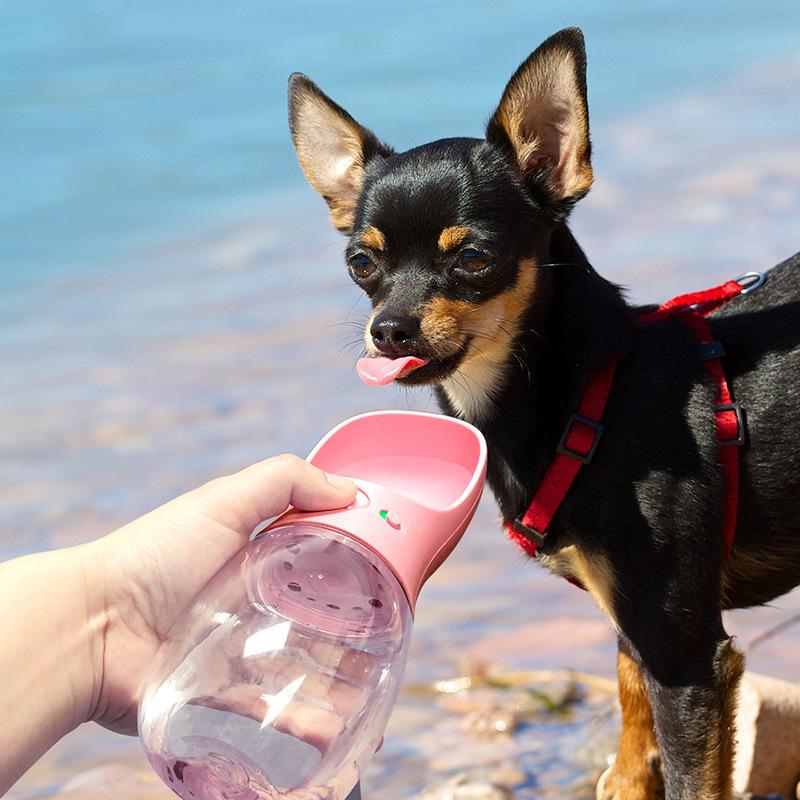 Portable Pet Water Bottle dog water bottle Timeless Matter 550 ML White 